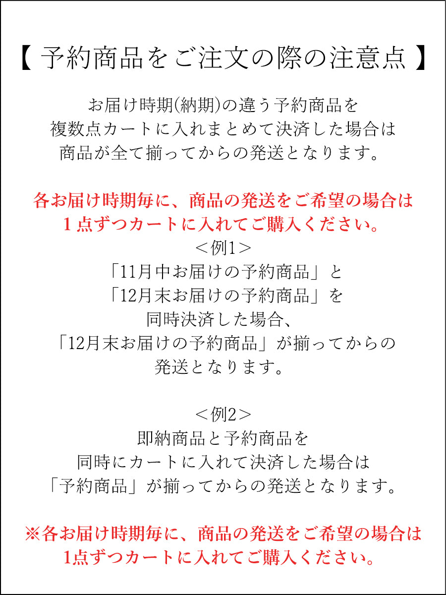 【予約:2月中旬】Structured Wide Denim/M261-33017【SELECT】