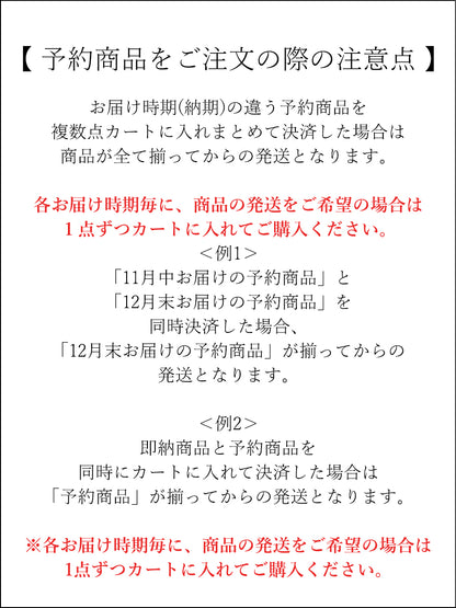 【予約：12月中旬】Satin Narrow Skirt／60251002022